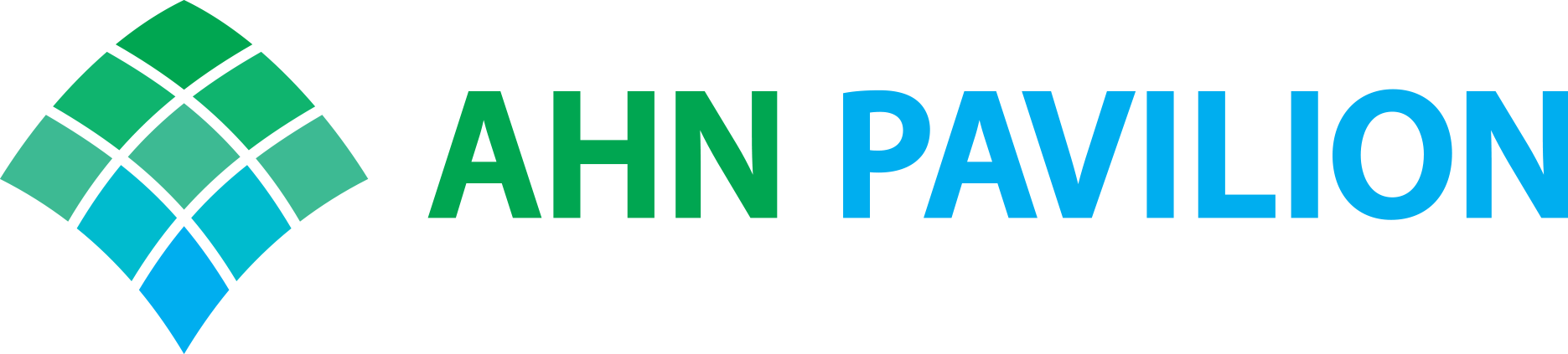 AHN PAV Logo