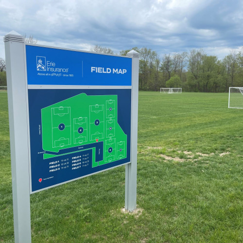 McKean Fields
