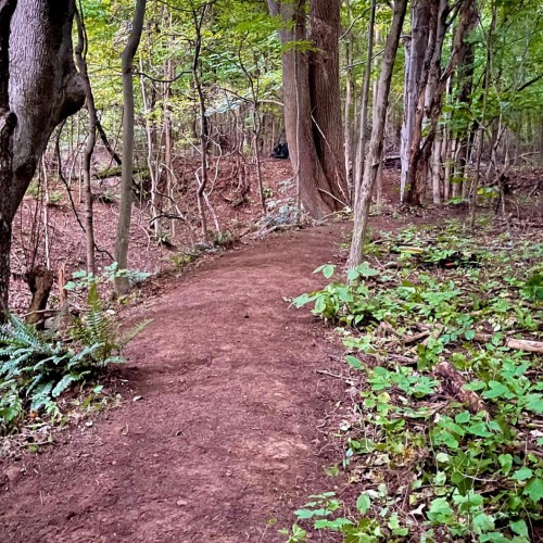 Trails at Six Mile