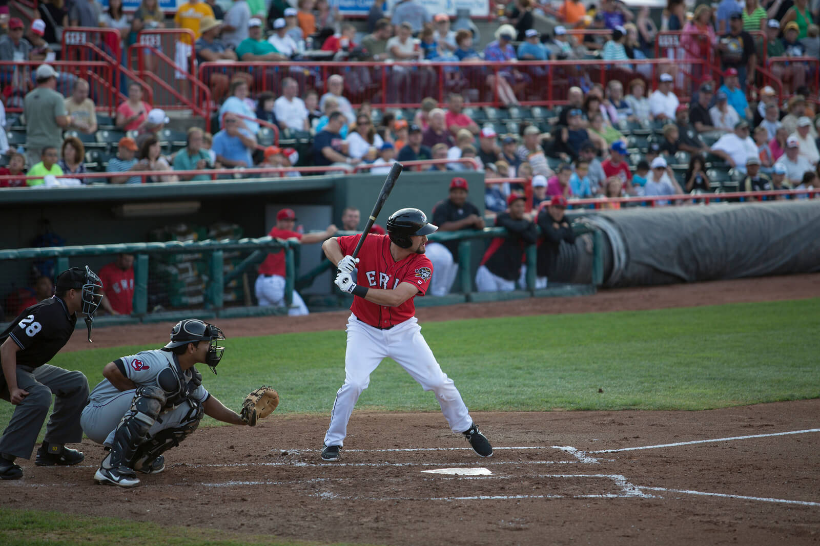 baseball